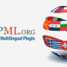 WPML Multilingual CMS + plugin for multilingual WordPress sites 4.3.10